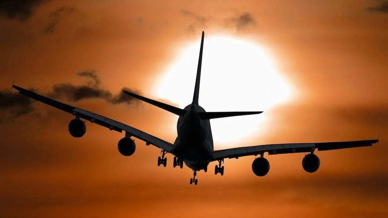 Employment and Travel During TPS