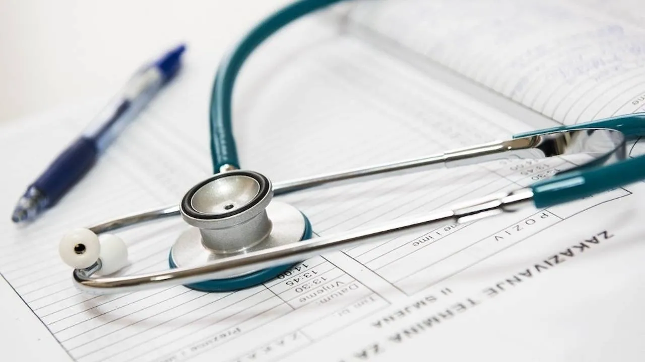 Health and Wellness Services as local immigrant support organizations