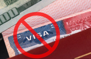 Visa Rejection Reason and How To Check