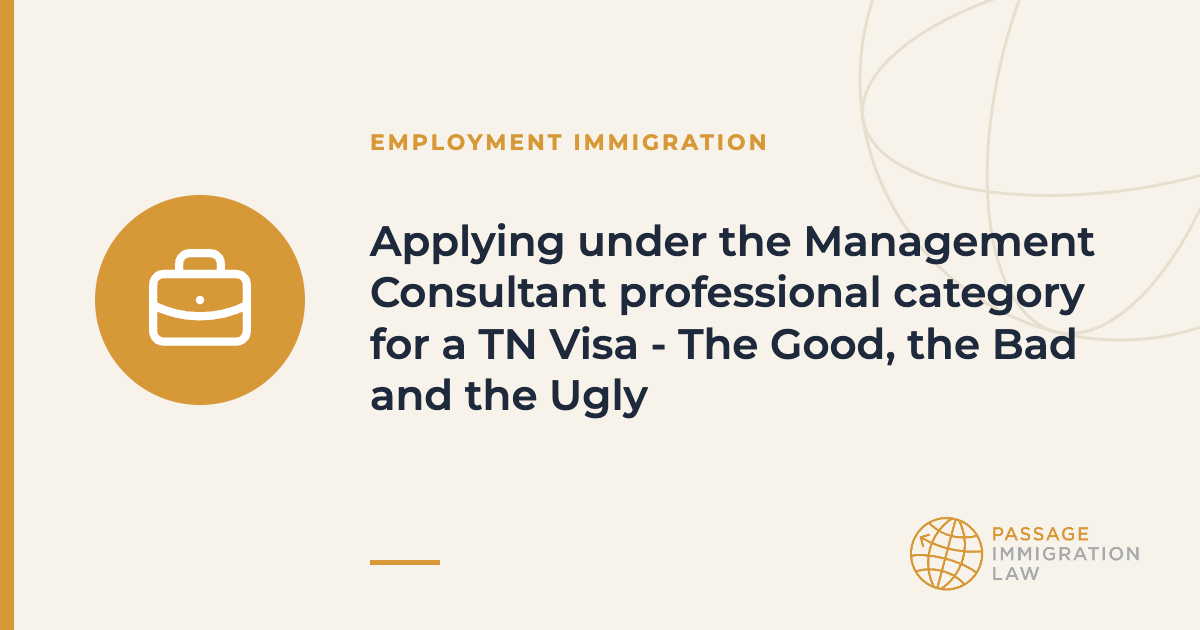 Applying under the Management Consultant professional category for a TN Visa - The Good, the Bad and the Ugly