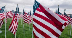 Rows of American flags waving on a green field under a cloudy sky.